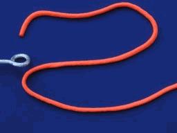 钓鱼鱼线鱼漂怎么绑,新手钓鱼入门教程绑鱼线