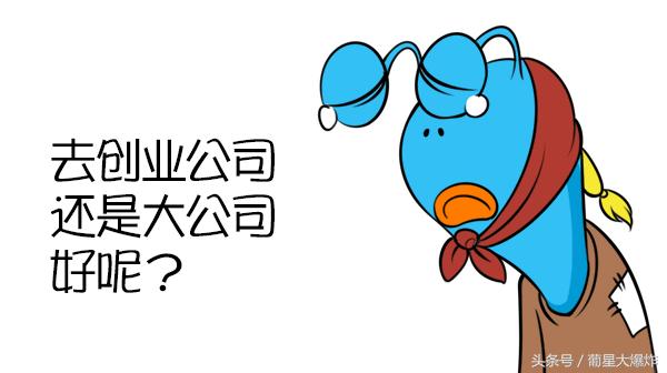 想创业选择大公司还是小公司,学习创业应该去小公司还是大公司