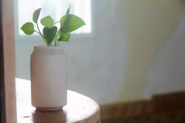 创意手工花盆旧物利用长方形,带把手茶壶旧物改造为花盆