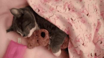 搞笑Gif：白板，动了手脚之后变*摸自**了！所以说远离赌博！