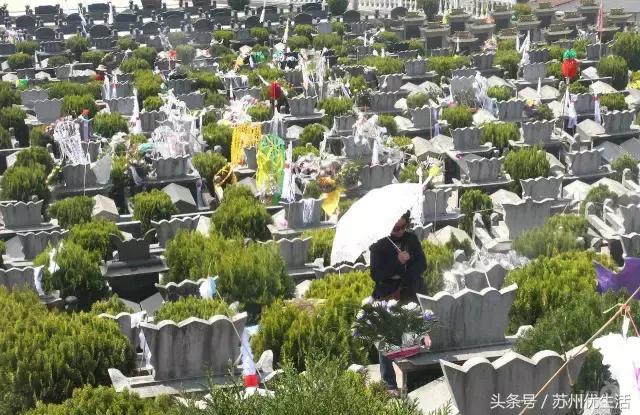 清明小长假出行这份攻略请收好,清明三天小长假去哪里玩呢