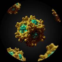 怎样避免诱发和加重银屑病的因素？——苏飞医生讲堂实录