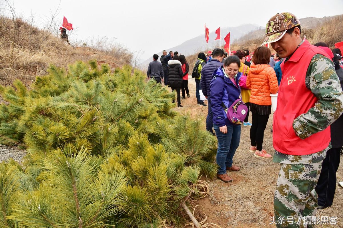 义务植树与创建森林城市,共建文明城市小学生