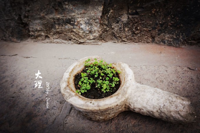 彩云以南，我们终于出发の我带着你，你带着钱！