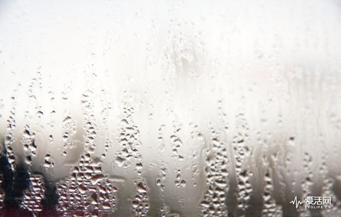 dustie除湿机保养,拒绝潮湿