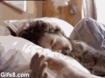 猫咪是高冷的还是粘人的,猫咪是高冷萌化吗