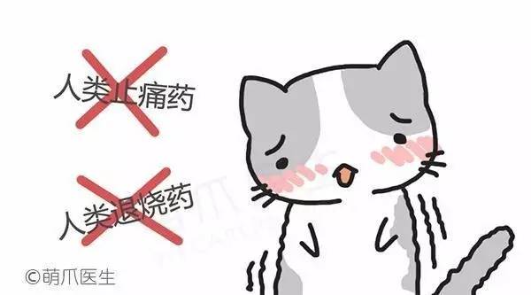 喵的，我都这么痛了！你还看不出来么？！