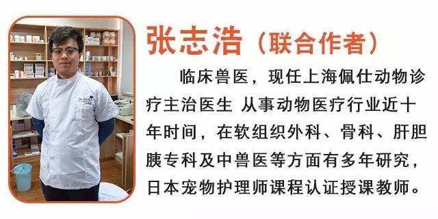 洁尔阴洗液宠物,妇炎洁宠物能用吗