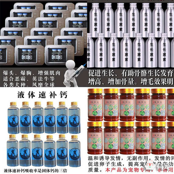 鐙楀競鎺㈣ (鎺㈣鐙楀競)