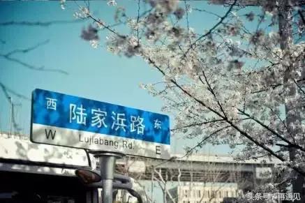 樱花季攻略,樱花季攻略赤丸