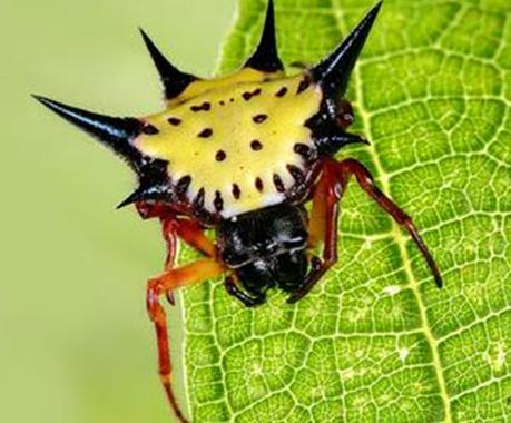 盗墓者自述真实事件,盗墓贼写的真实盗墓笔记