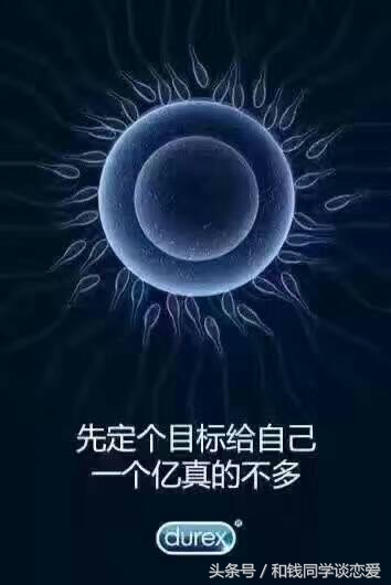 论伯乐与千里马文案,论文学文案