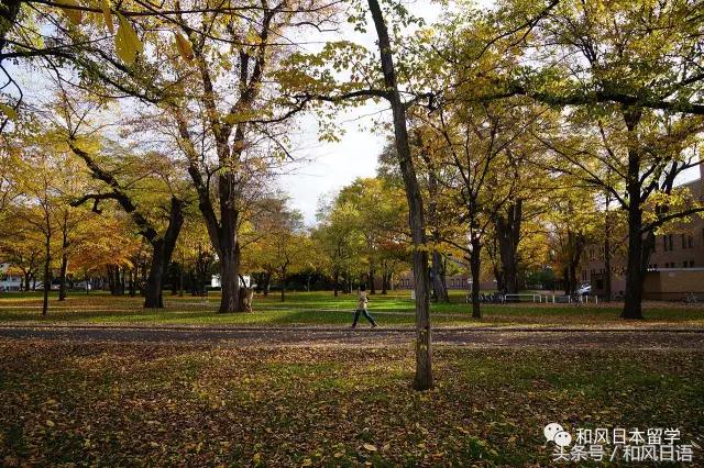 颜值与实力兼备高校,北大为何这么强大