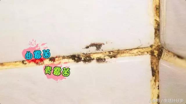 回南天是如何产生霉菌的,回南天霉菌