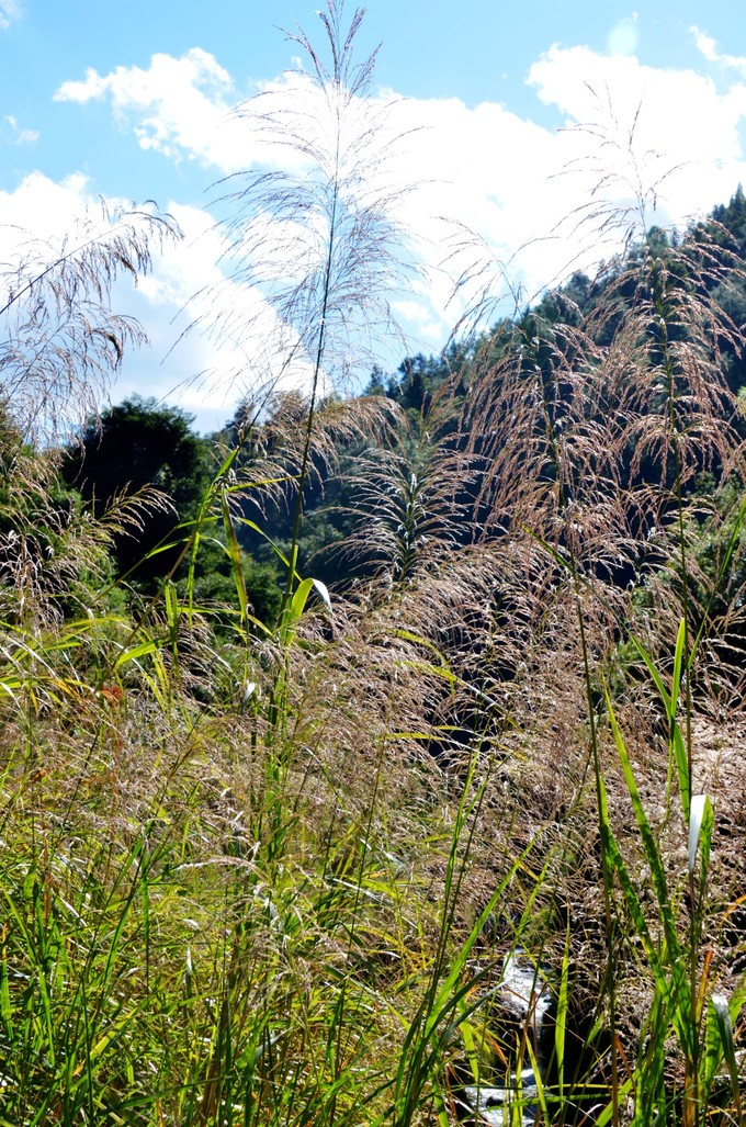 云南秋天看日落最好的地方,云南绝美秋色