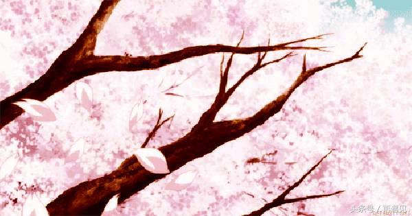 樱花季攻略,樱花季攻略赤丸