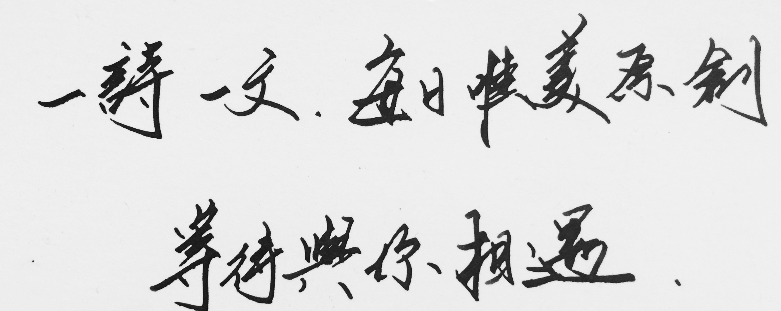 日光倾城谁为我停留,日光倾城谁为你停留一世