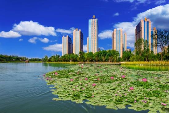 房地产对园林影响,房子是买大园林还是小园林好