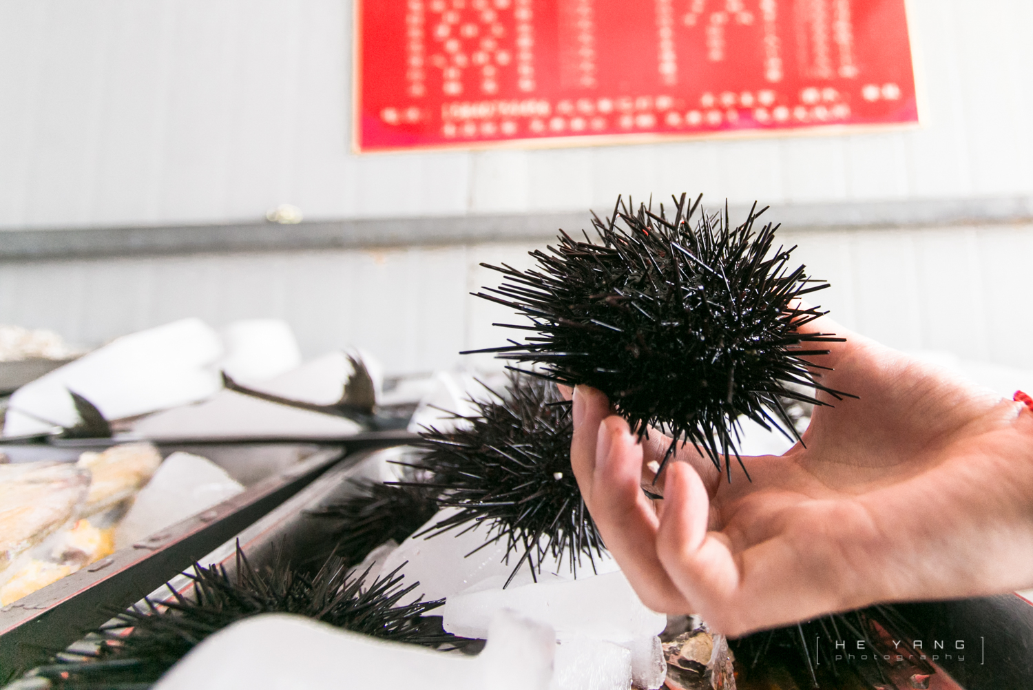 美丽的海滨城市营口鲅鱼圈,营口市鲅鱼圈十年变化