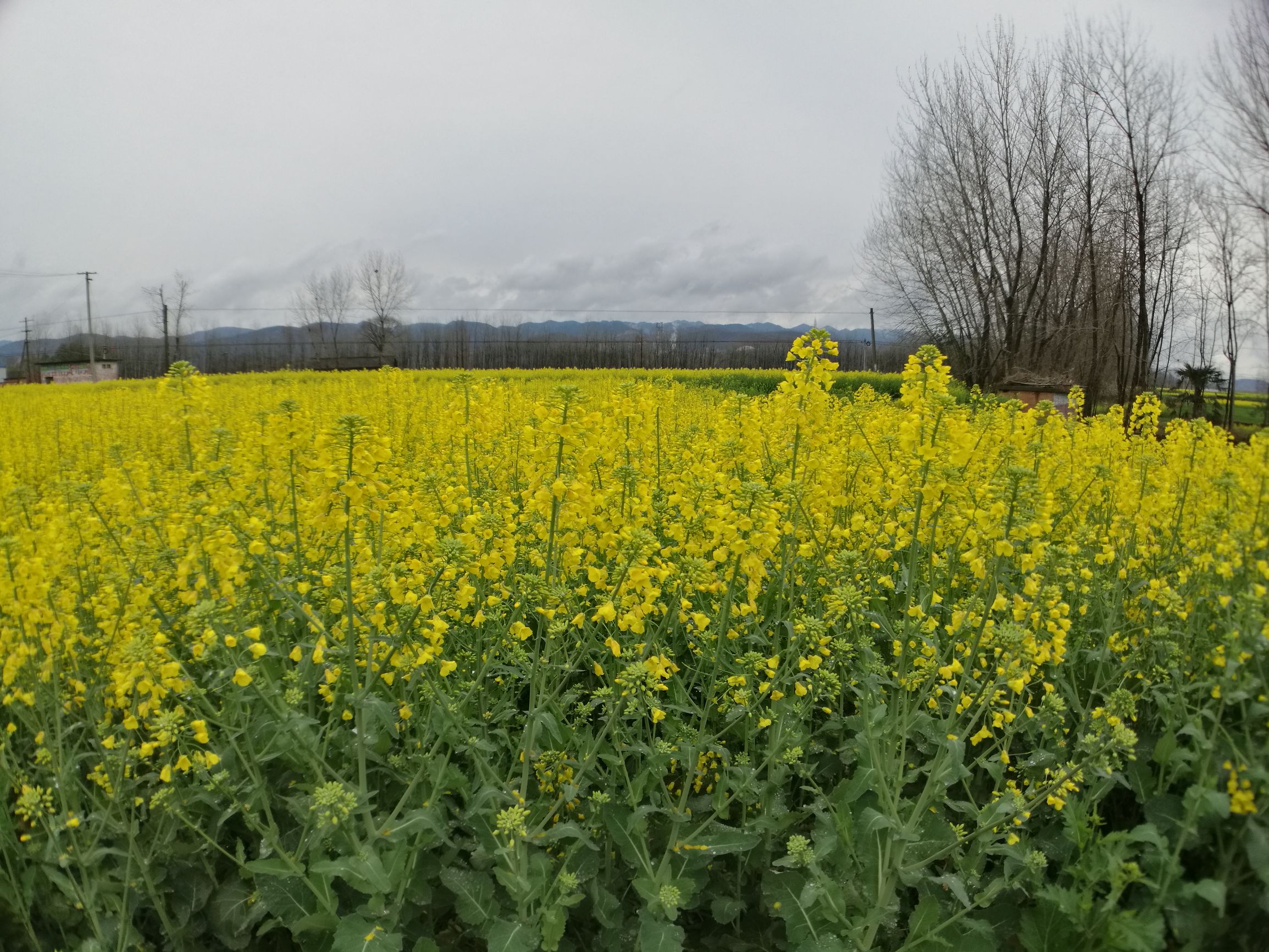 第三天，错过宿营地！「千里走单骑X2」零经验骑行者的日记！