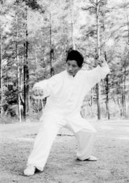 蒙古血统的世界名人,世界文化名人有哪些