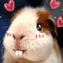 小兔砸月亮,小兔砸崽子