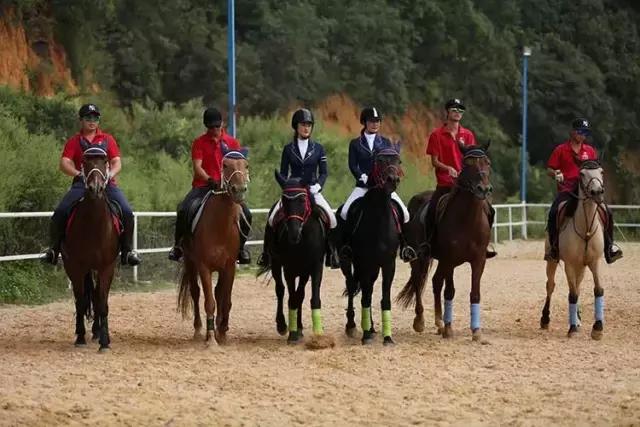 昆明二龙湖御龙马术俱乐部,贵阳市马术俱乐部
