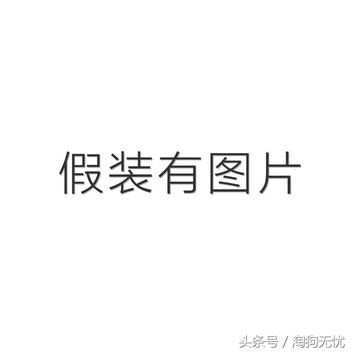 春天来了狗狗也撒欢,春天来了你家的狗能管好吗