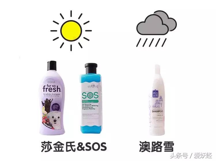 宠物香波哪个好用,什么宠物香波好用