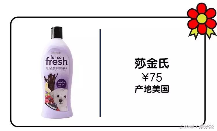 宠物香波哪个好用,什么宠物香波好用