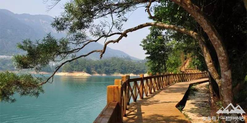 广州户外露营好去处,户外露营推荐广州郊区