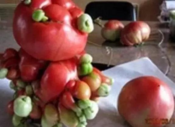 日本核污染食品朋友圈,无印良品食材是有核辐射吗