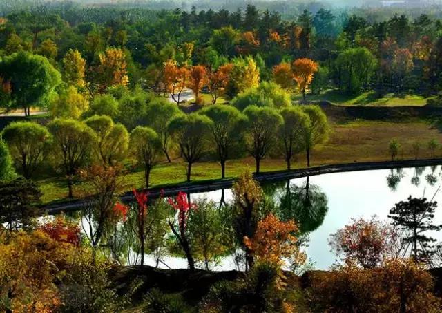 定个小目标100天,定个小目标完整版