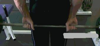 手腕臂力量训练,前臂力量训练动作大全