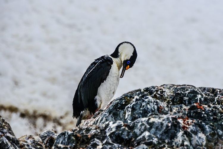 嗨哩文旅丨在世界的尽头的九个日日夜夜