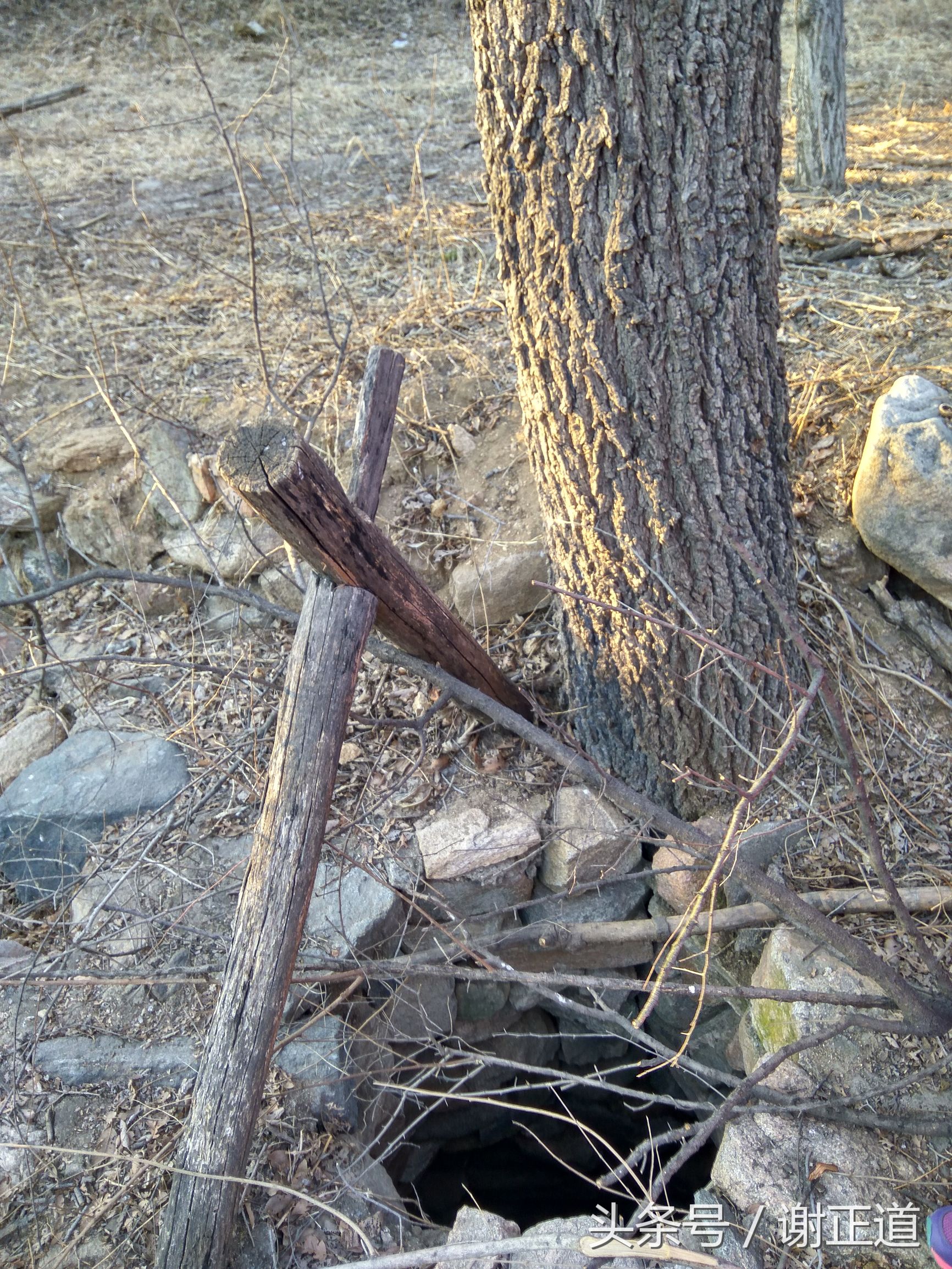 灵寿秋山风景区攻略,灵寿秋山自然风景区电话