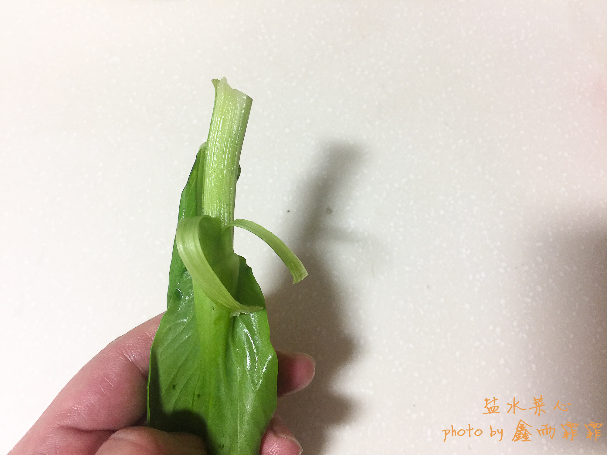 青菜怎样焯水不变黄,种的青菜刚出来就发黄什么原因