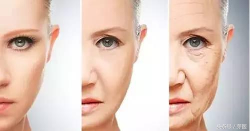 人的器官衰老的时间表,决定身体衰老速度的原因