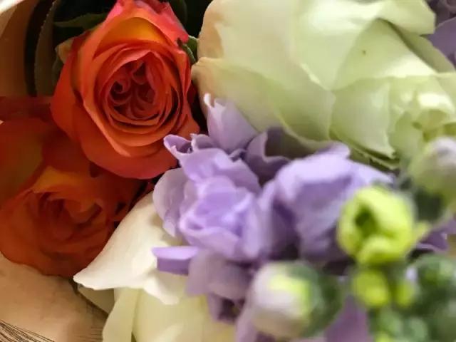 我们用1000元的教训告诉你:包月鲜花全是坑!一家都不推荐!