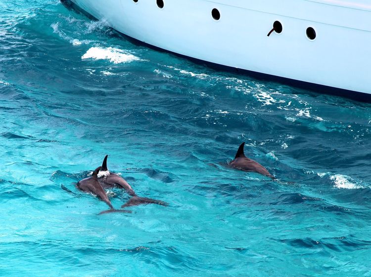 嗨哩文旅丨阿拉伯沙漠明珠、古埃及掠影