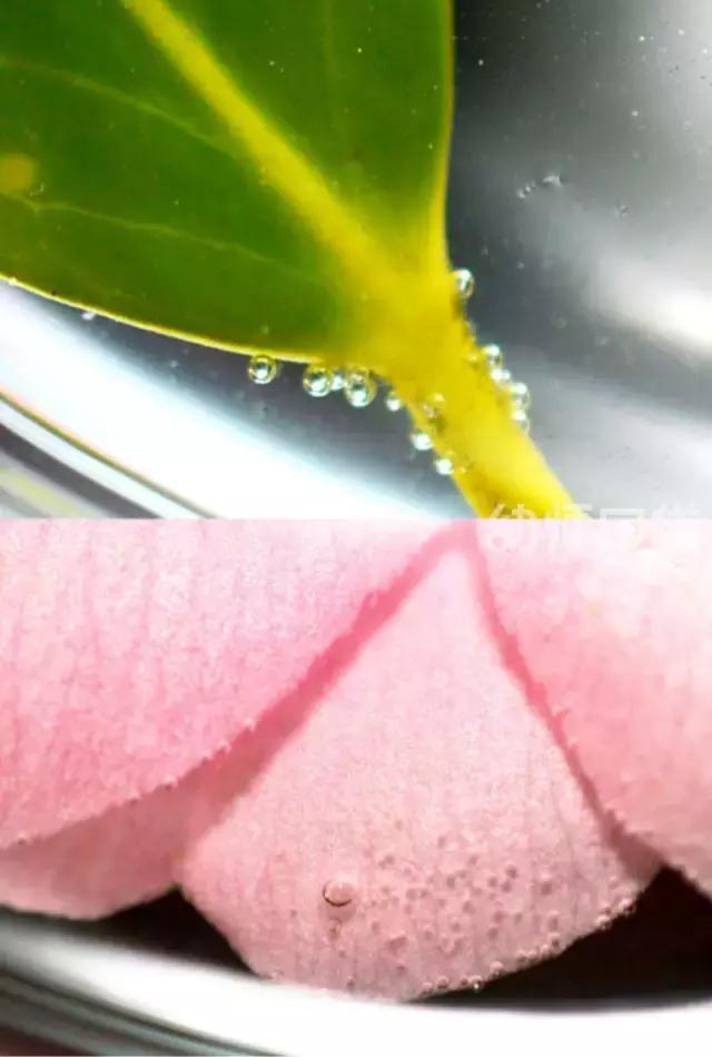 爱不释手的玩具,什么玩具爱不释手