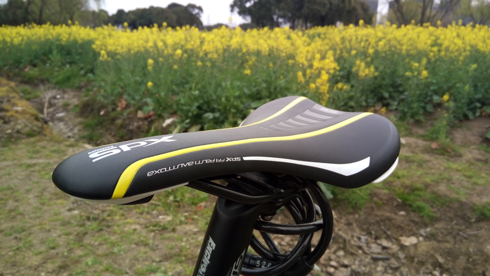 让x（叉）d（得）s（爽）带我飞简评喜德盛传奇700