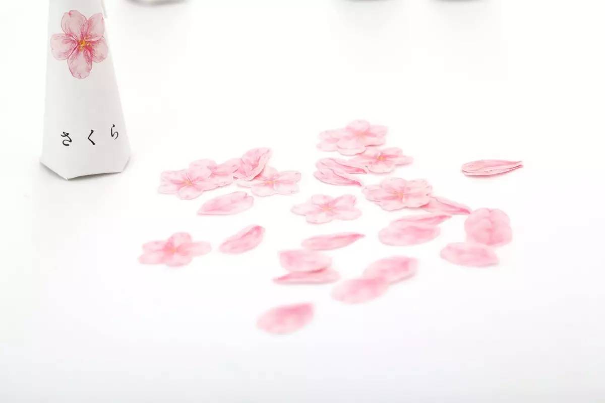 Hi，樱花季你好，原来你的「CP」在这里~