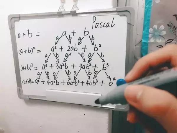 我是如何跳进数学这个“坑”