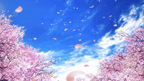 上海|2017最强赏花攻略,带上你的小伙伴去浪吧!