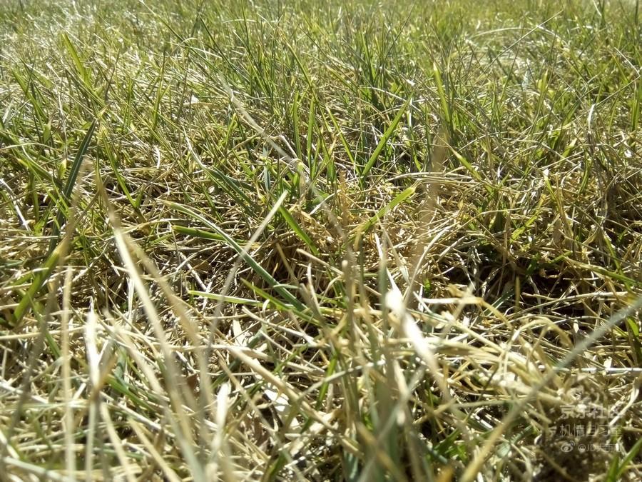 最新魅族flyme系统,魅族flyme10系统评测新功能