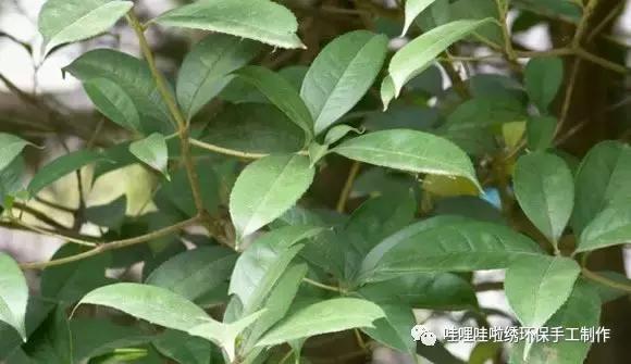 自制男生书签霸气,自制书签的方法及图片简单