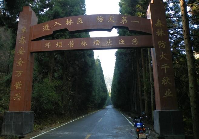 恩施森林旅游,恩施咸丰坪坝营旅游景点