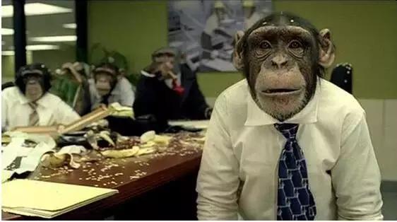 曝光各行各业内幕,原来有这么多行业秘密