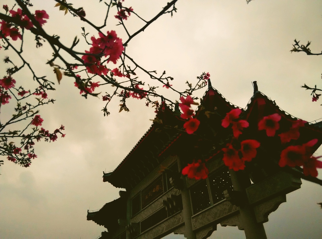 轻松读好经典古诗,常见读起来朗朗上口的古诗词